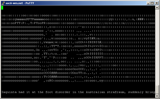 ascii-wm