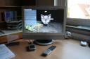 Samsung SyncMaster 940MW