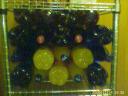 image_00032-small.jpg